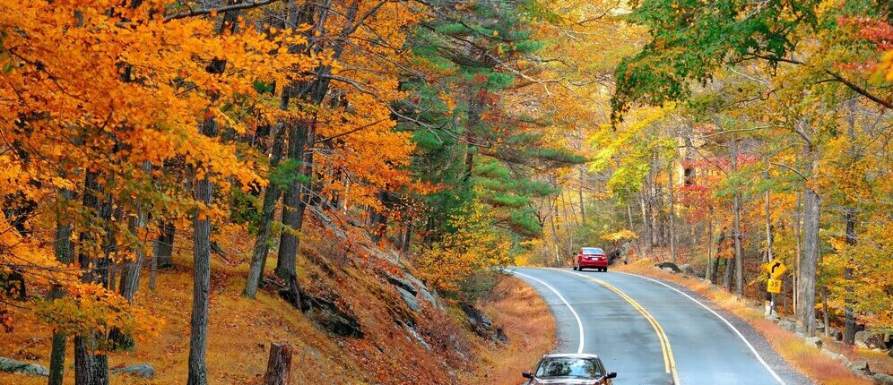 preparar carro para o outono (freepik)